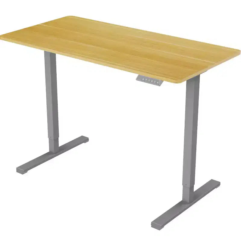 Bureau debout électrique 48 x 24, bureau réglable en hauteur, poste de travail informatique de bureau à domicile, bureau assis-debout